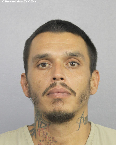  DAVID EARL NELSON Photos, Records, Info / South Florida People / Broward County Florida Public Records Results