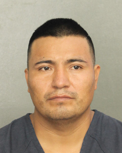  SEBASTIAN GARCIA-LUCAS Photos, Records, Info / South Florida People / Broward County Florida Public Records Results