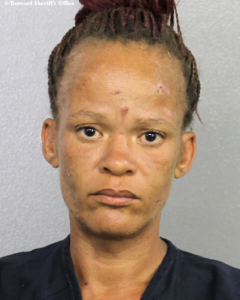  TISHANNA CIVE GOLLETT Photos, Records, Info / South Florida People / Broward County Florida Public Records Results