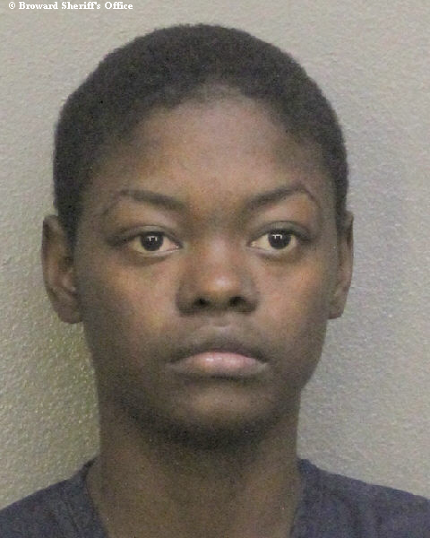  BRITTANY NICOLE KNIGHT Photos, Records, Info / South Florida People / Broward County Florida Public Records Results