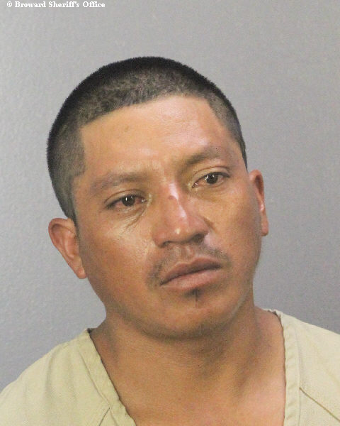  WILFIDO BARTOLON BARTOLON Photos, Records, Info / South Florida People / Broward County Florida Public Records Results