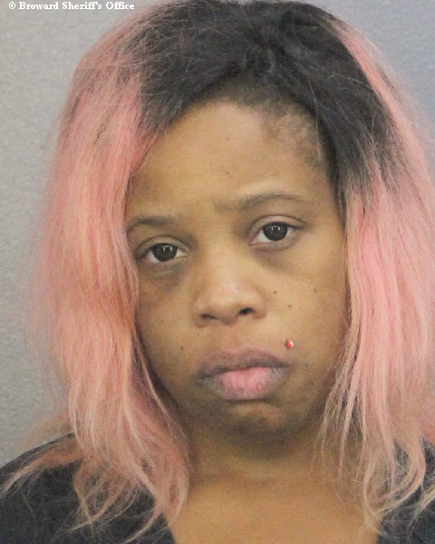  CHRISTINA MICHELLE ARLENA JAMES Photos, Records, Info / South Florida People / Broward County Florida Public Records Results