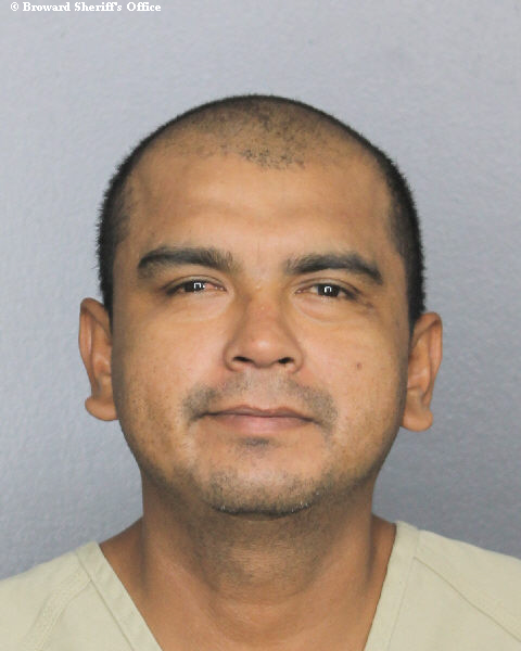  JAVIER DAVID BUESO Photos, Records, Info / South Florida People / Broward County Florida Public Records Results