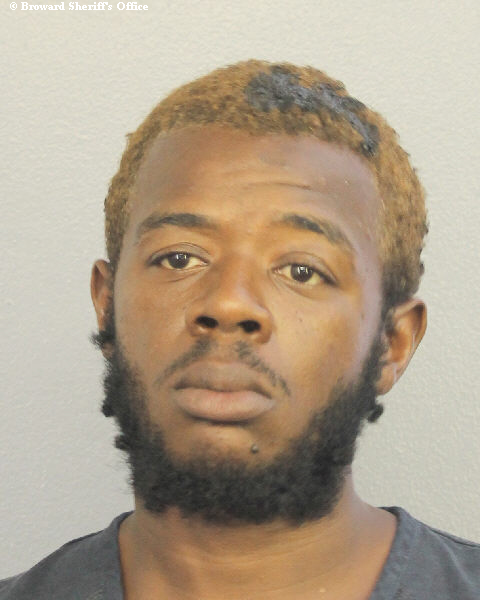  DARWIN ALPHONSO MINGO Photos, Records, Info / South Florida People / Broward County Florida Public Records Results