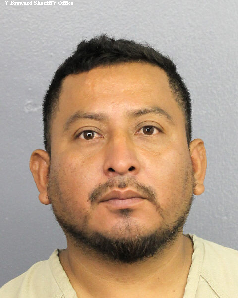 ROBIN HIRAM LOPEZ LOPEZ Public Records / South Florida Photos / Broward County Florida People + Places ROBIN HIRAM LOPEZ LOPEZ Photos, Records, Info / South Florida People / Broward County Florida Public Records Results