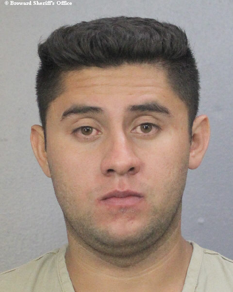  ERICK ALEXANDER ORELLANA REYES Photos, Records, Info / South Florida People / Broward County Florida Public Records Results