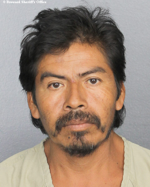 FELIX HERNANDEZ Public Records / South Florida Photos / Broward County Florida People + Places FELIX HERNANDEZ Photos, Records, Info / South Florida People / Broward County Florida Public Records Results
