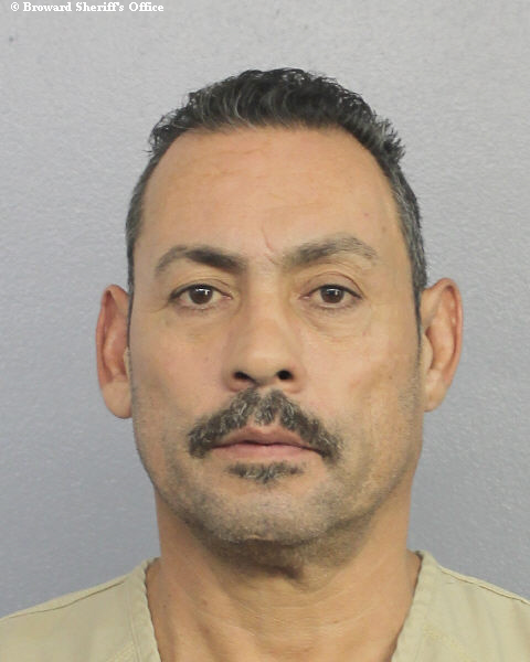  NESTALI TORRES Photos, Records, Info / South Florida People / Broward County Florida Public Records Results