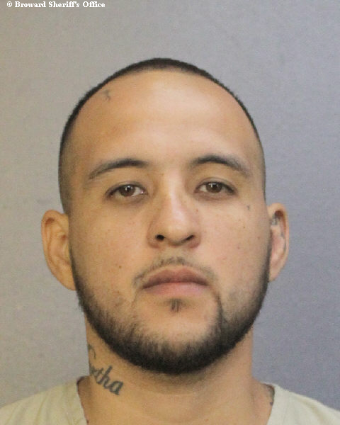  ARON FLORES Photos, Records, Info / South Florida People / Broward County Florida Public Records Results