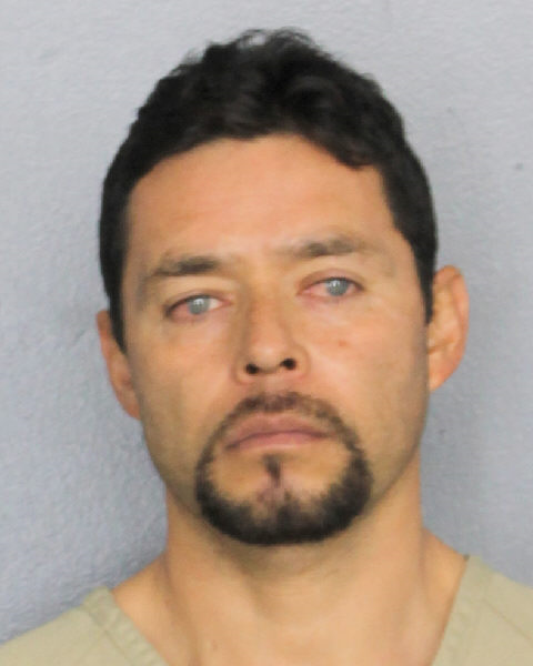 ERNESTO B DAVILA Public Records / South Florida Photos / Broward County Florida People + Places ERNESTO B DAVILA Photos, Records, Info / South Florida People / Broward County Florida Public Records Results