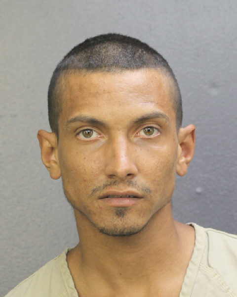 SKY MALONE Public Records / South Florida Photos / Broward County Florida People + Places SKY MALONE Photos, Records, Info / South Florida People / Broward County Florida Public Records Results