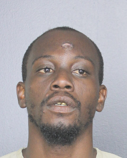  ANNEL VEILLARD fotografia del sheriff oficial del condado de Broward