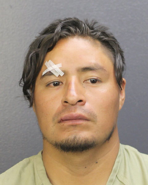 DELFINO VICENTE SONTAY Public Records / South Florida Photos / Broward County Florida People + Places DELFINO VICENTE SONTAY Photos, Records, Info / South Florida People / Broward County Florida Public Records Results