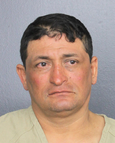  EDWIN MORALES HERNANDEZ Photos, Records, Info / South Florida People / Broward County Florida Public Records Results