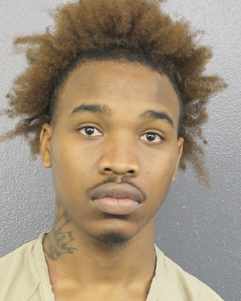  LEANTE LASHAWN NELSON Photos, Records, Info / South Florida People / Broward County Florida Public Records Results