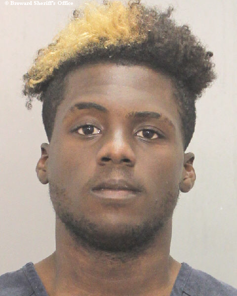  GIBSON SYLVAIN Photos, Records, Info / South Florida People / Broward County Florida Public Records Results