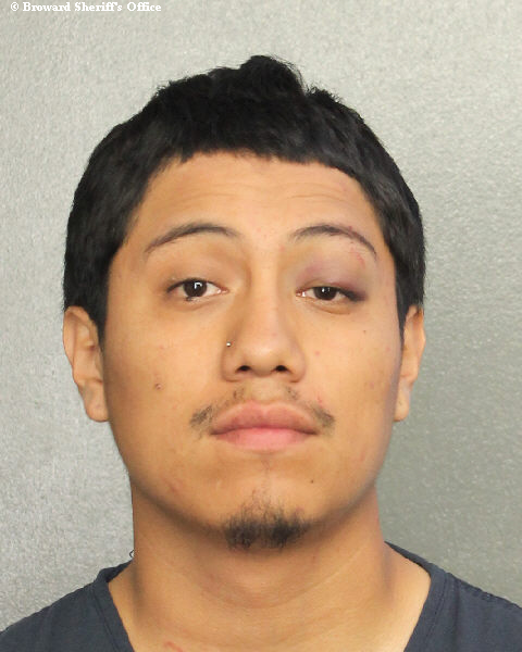  ALEXANDER VARGAS Photos, Records, Info / South Florida People / Broward County Florida Public Records Results