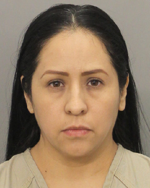  ERIKA FABIOLA RAMIREZ HERNANDEZ Photos, Records, Info / South Florida People / Broward County Florida Public Records Results