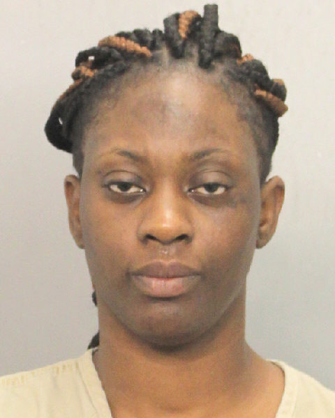  KAREN KING Photos, Records, Info / South Florida People / Broward County Florida Public Records Results