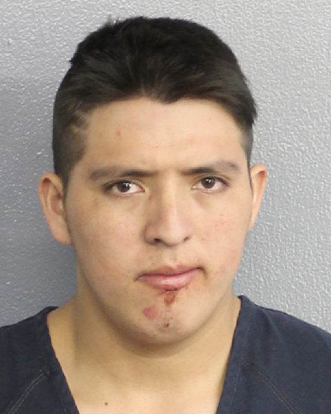  EDIN IXSAEL PEREZ-MEJICANOS Photos, Records, Info / South Florida People / Broward County Florida Public Records Results