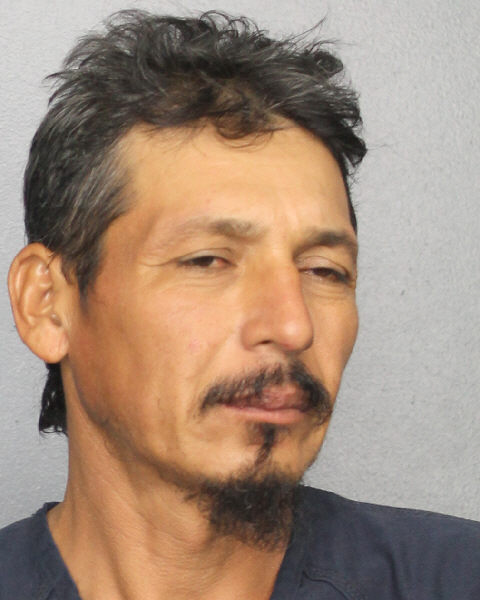  MAURICIO FLORES Photos, Records, Info / South Florida People / Broward County Florida Public Records Results