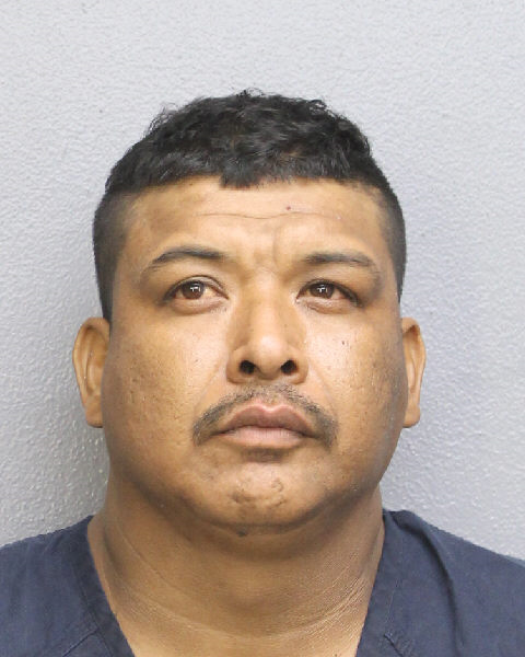  ANGEL PEREZ Photos, Records, Info / South Florida People / Broward County Florida Public Records Results