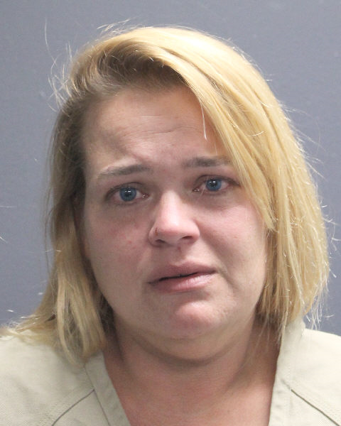  DESIREE WELCH Photos, Records, Info / South Florida People / Broward County Florida Public Records Results