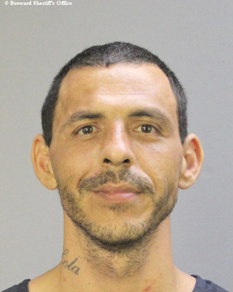 DOMINICK SLADE MOSES Public Records / South Florida Photos / Broward County Florida People + Places DOMINICK SLADE MOSES Photos, Records, Info / South Florida People / Broward County Florida Public Records Results