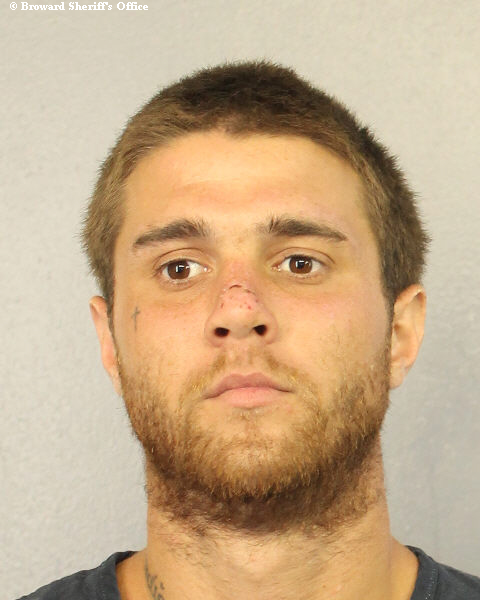  DIMITRIOS WILLIAM LASKOU Photos, Records, Info / South Florida People / Broward County Florida Public Records Results