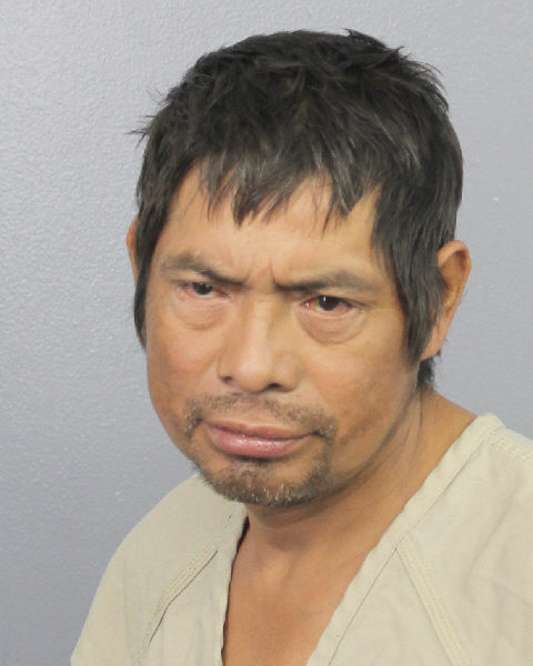  ALI MARINO Photos, Records, Info / South Florida People / Broward County Florida Public Records Results