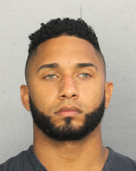  ALAN ANEURIS LUNA Photos, Records, Info / South Florida People / Broward County Florida Public Records Results