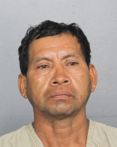  JOSE ALEJANDRO RAMOSGRIJALVA Photos, Records, Info / South Florida People / Broward County Florida Public Records Results