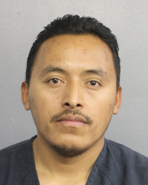  JOSE PEDRO AMAYA Photos, Records, Info / South Florida People / Broward County Florida Public Records Results