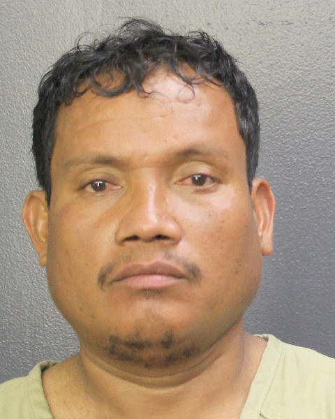  ALEX JAVIER ELVIR AGUILAR Photos, Records, Info / South Florida People / Broward County Florida Public Records Results