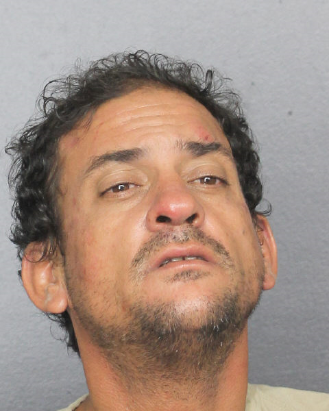  ARIEL TORRES Photos, Records, Info / South Florida People / Broward County Florida Public Records Results