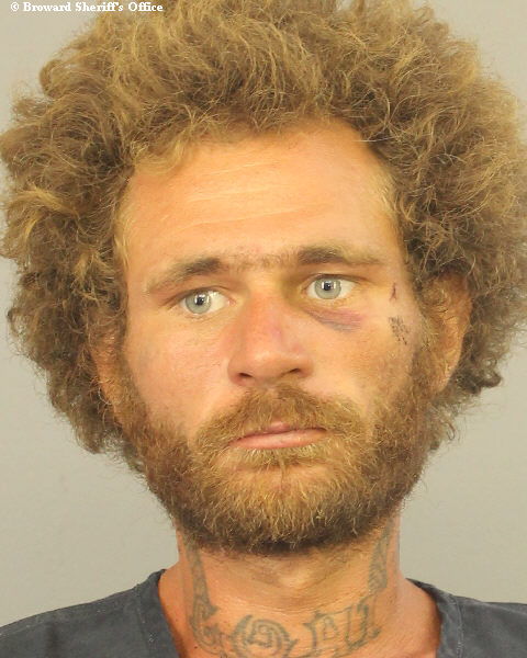  CALVIN EASTERLY Photos, Records, Info / South Florida People / Broward County Florida Public Records Results