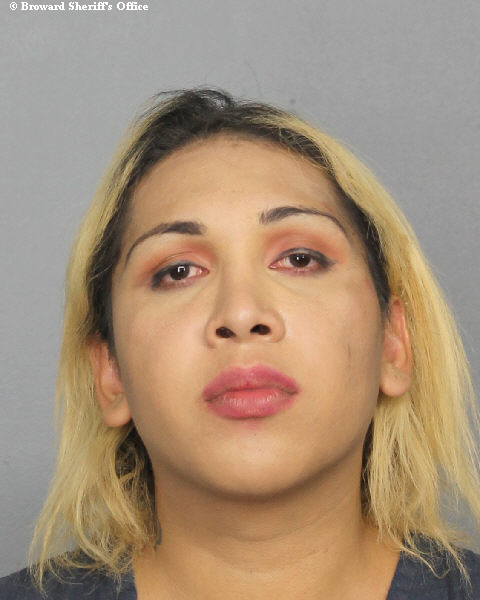  YORCH CACIQUE GONZALEZ Photos, Records, Info / South Florida People / Broward County Florida Public Records Results