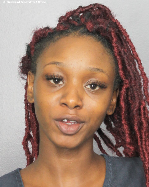  SPARKLE ST CLARE RUTHERFORD-TERRY Photos, Records, Info / South Florida People / Broward County Florida Public Records Results