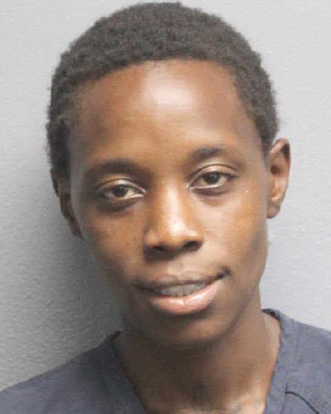  BRITTANY PERSHAY CHISOLM fotografia del sheriff oficial del condado de Broward