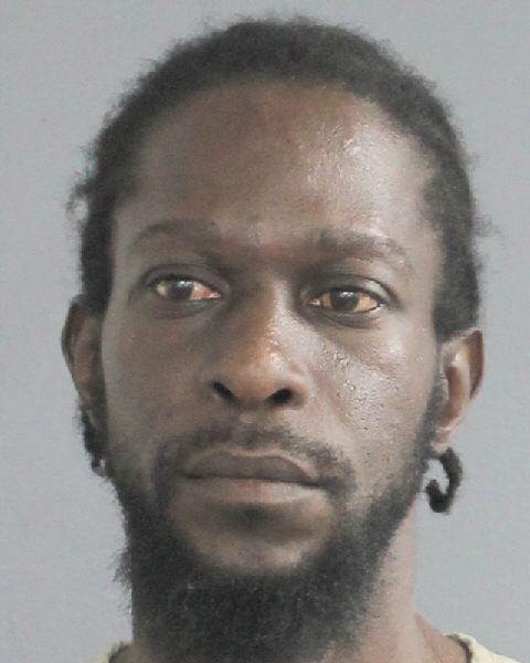  ANDREA LEAMART HARRIS fotografia del sheriff oficial del condado de Broward