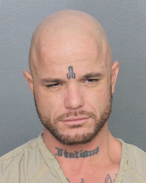  ANDREW LAYTON DIGIULIO Photos, Records, Info / South Florida People / Broward County Florida Public Records Results