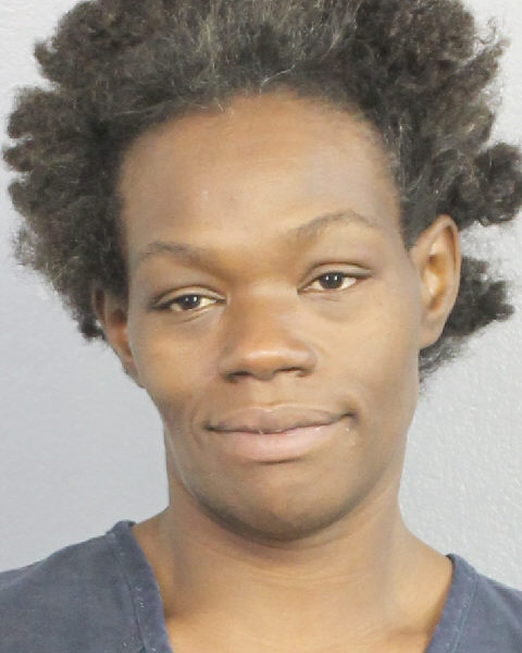  DIANNE GEORGINA YOUNG fotografia del sheriff oficial del condado de Broward