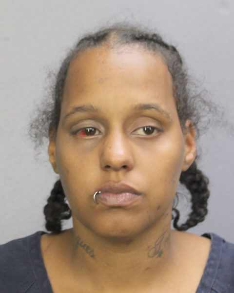  MICHELLE TAMPELLINI Photos, Records, Info / South Florida People / Broward County Florida Public Records Results