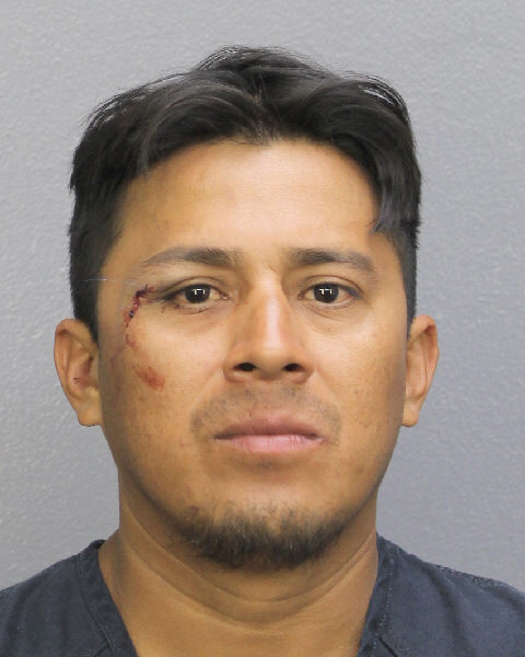MIGUEL PLEITES Public Records / South Florida Photos / Broward County Florida People + Places MIGUEL PLEITES Photos, Records, Info / South Florida People / Broward County Florida Public Records Results