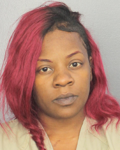  ASHLEY ALEXIS JOHNSON Photos, Records, Info / South Florida People / Broward County Florida Public Records Results