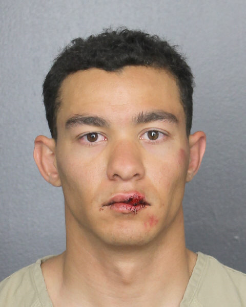  NATHANIEL GREGORY HEATHPRICE Photos, Records, Info / South Florida People / Broward County Florida Public Records Results