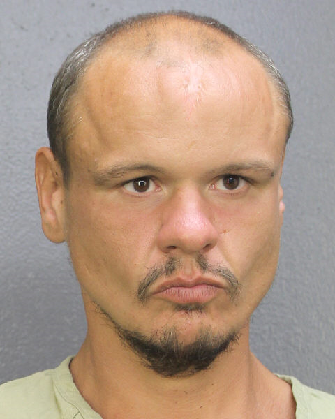  DAVID  ROBERT JOHNSON Photos, Records, Info / South Florida People / Broward County Florida Public Records Results