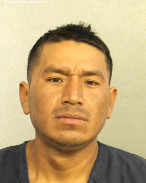  FERNANDO MAYA TELLEZ Photos, Records, Info / South Florida People / Broward County Florida Public Records Results