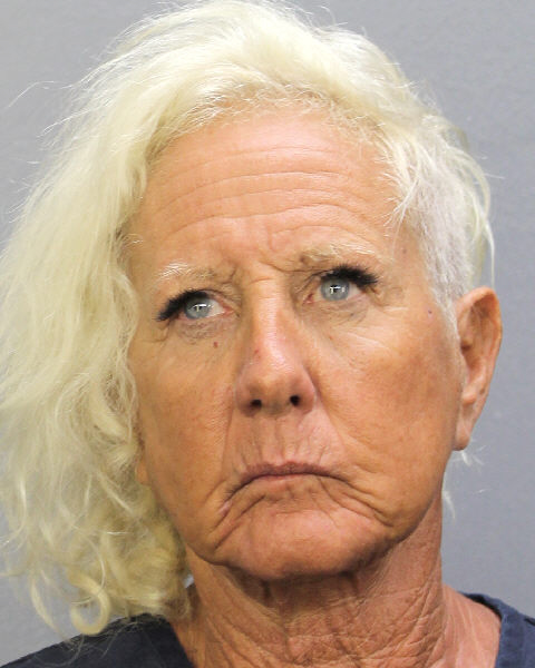  JOHANNAH L SHAPIRO fotografia del sheriff oficial del condado de Broward