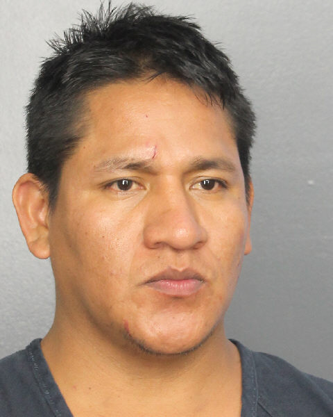  DAVID LUDENA Photos, Records, Info / South Florida People / Broward County Florida Public Records Results